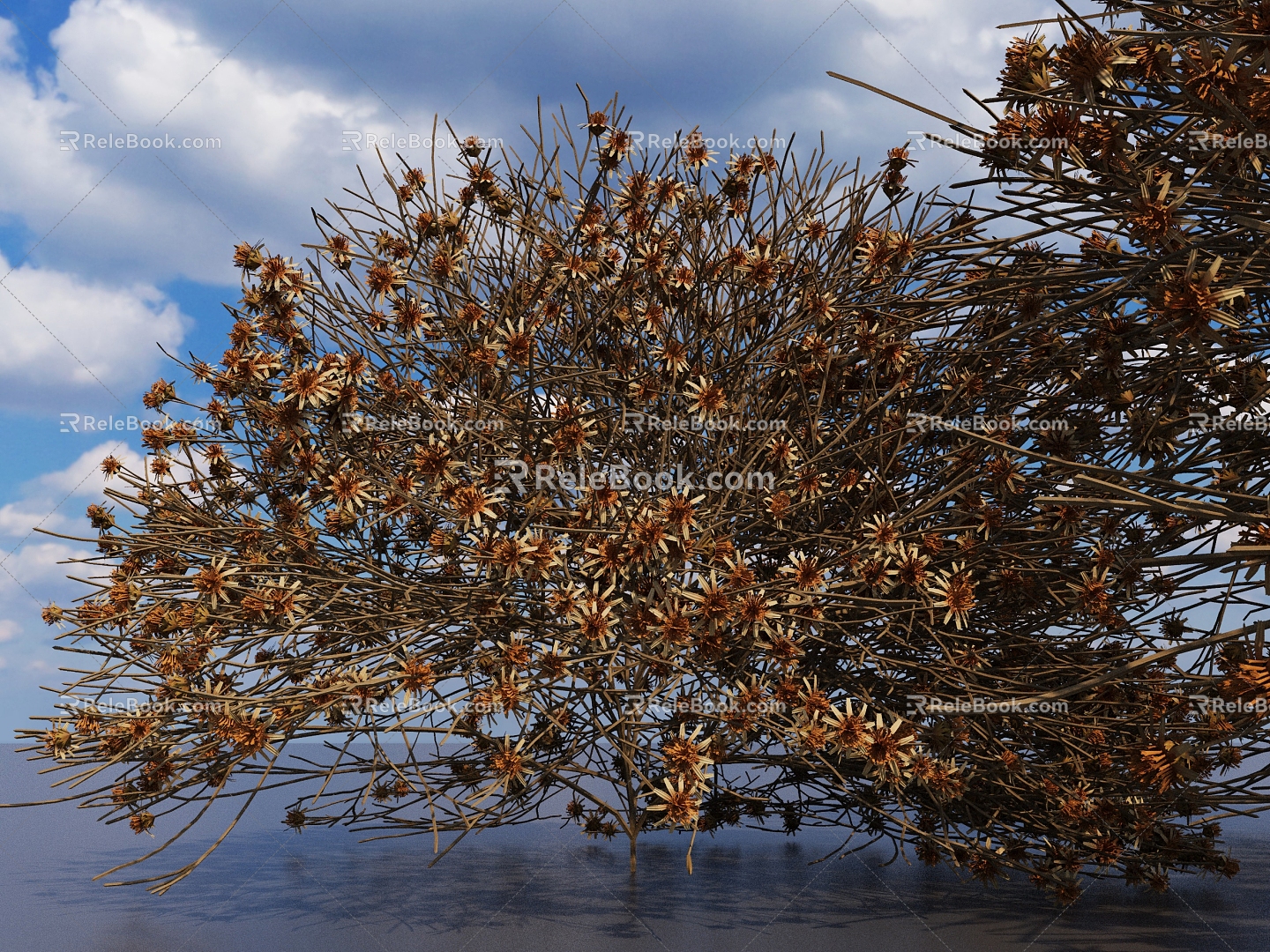 Shrubs without crested yellow chrysanthemum yellow chrysanthemum ornamental shrub landscape shrub residential landscape plants flowers and plants summer shrubs 3d model