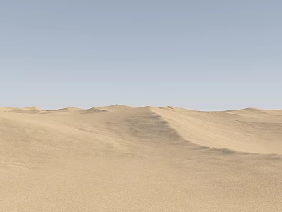 Serene Zen Garden Landscape With Undulating Sand Patterns And Light Blue Sky 3d model