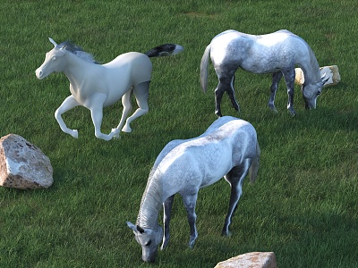 horse animal model