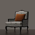 Elegant Accent Chair with Black Frame Patterned Fabric and Orange Cushion for Living Room