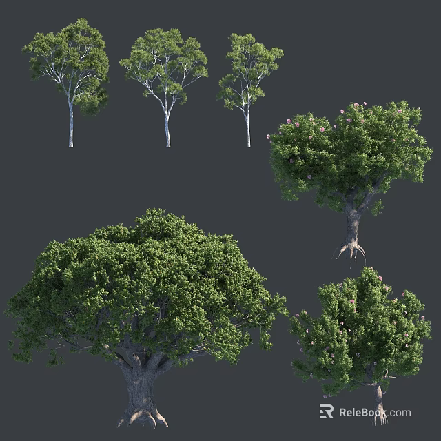 Various Tall Arbor Trees With Lush Green Foliage And Different Crown Shapes 3d model 