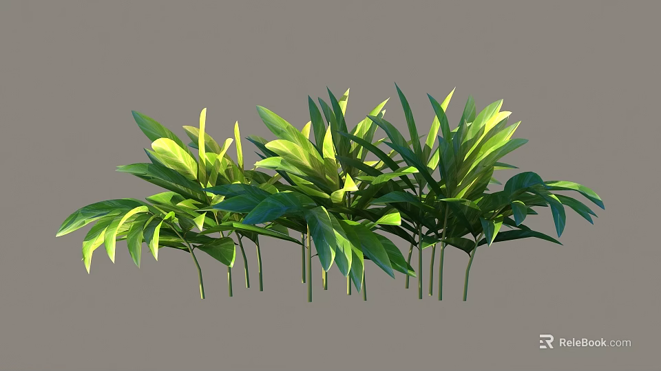 Green Shrub With Lush Green Foliage And Healthy Leaves For Outdoor Decoration 3d model 