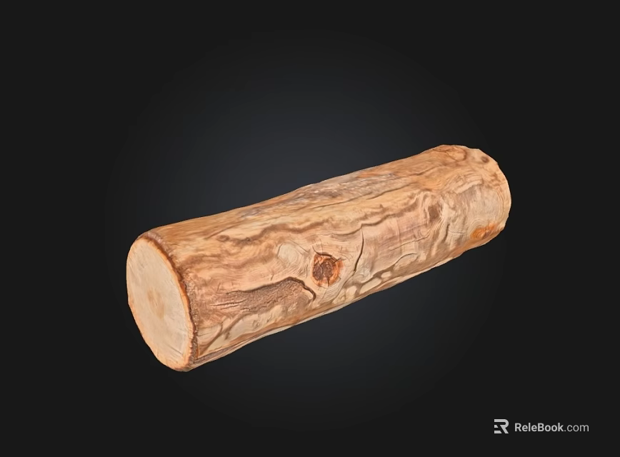 Natural Wood Log with Stone Like Texture in Cylinder Shape on Black Background 3d model 