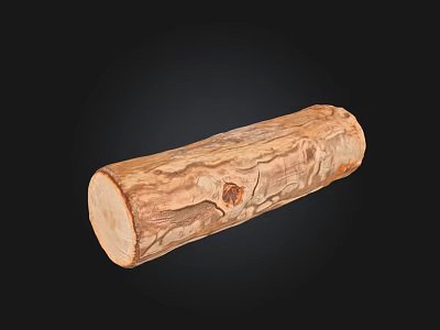 Natural Wood Log with Stone Like Texture in Cylinder Shape on Black Background 3d model