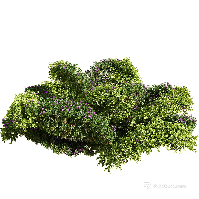Lush Green Shrub With Purple Flowers And Dense Foliage For Landscaping 3d model 