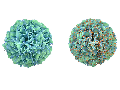 Modern Nano Flower Ball 3d model Modern Nano Flower Ball 3d model