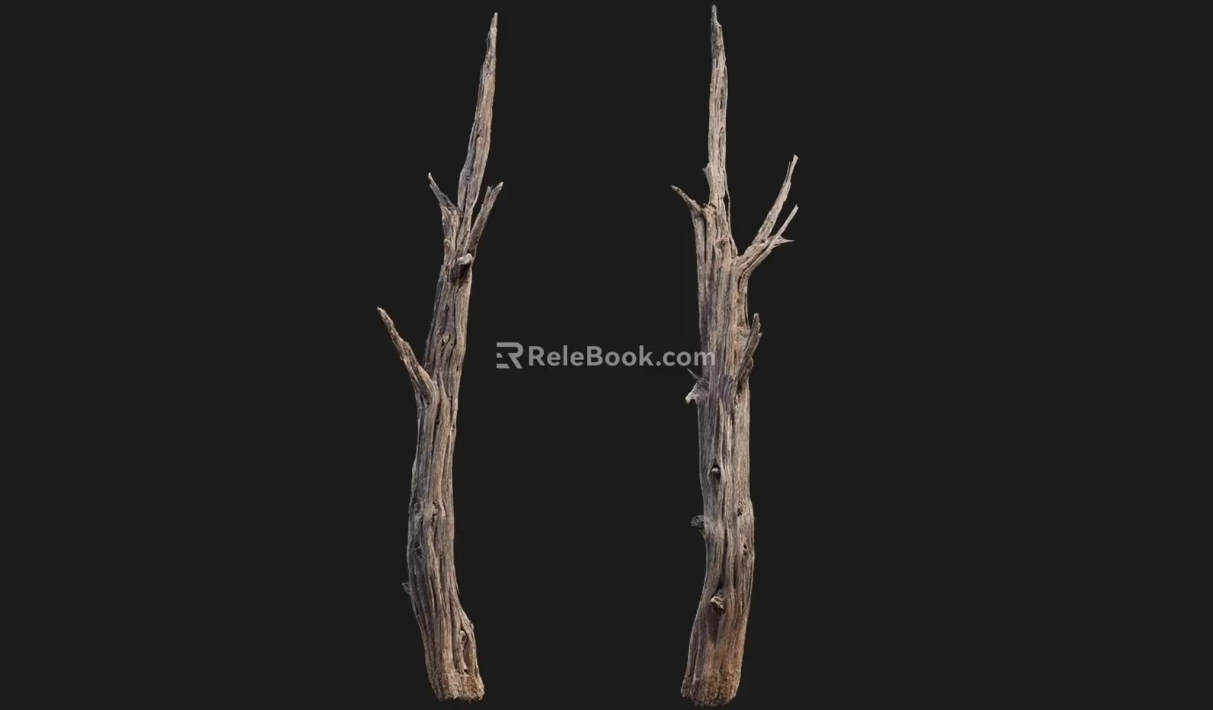 Forest Tree Realistic Branch Games Forest Branch Big Mountain Fallen Trees Riverside Fallen Branch Trees Realistic Tree Stump Games Wooden Stump 3d model
