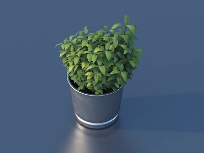 Bonsai Potted Plant With Green Lush Leaves In Silver Metal Pot On Dark Blue Background 3d model