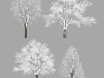 Snow Covered Trees In Winter With Frosty Branches And White Snow 3d model