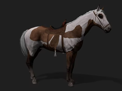 Brown And White Horse With Saddle Standing In Studio Setting 3d model
