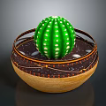 Green Cactus With White Spots Placed In Bowl Shaped Pot With Brown Decoration And Soil