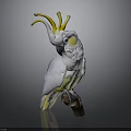 White Cockatoo With Yellow Crest Standing On Brown Branch Against Gray Background