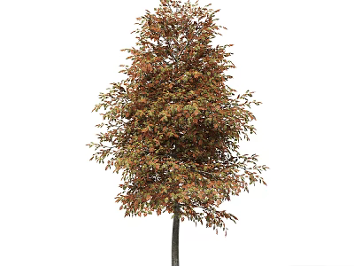 Lush Arbor With Colorful Red And Green Foliage And Dark Trunk 3d model