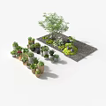 Various Hanging Basket Plants with Different Foliage Types and Decorative Pots 3d model