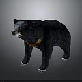 Realistic 3D Black Bear Model With Orange Neck And Standing Posture