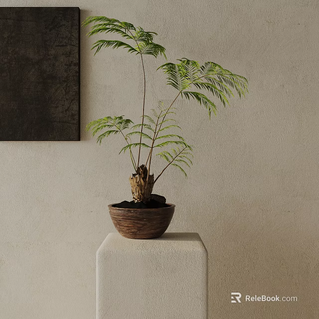 Bonsai Potted Plant In Brown Wooden Pot With Lush Green Fern Leaves On Minimalist Stand 3d model 
