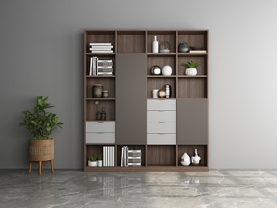 Modern Bookcase Locker model