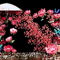 Beautiful Photo Spot With Pink Flowers Butterflies Umbrella Petals Against Black Background
