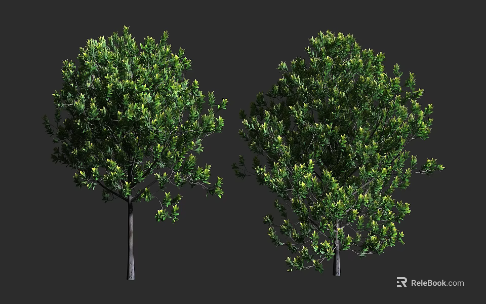 Two Arbor Trees With Lush Green Foliage And Strong Trunks On Gray Background 3d model 
