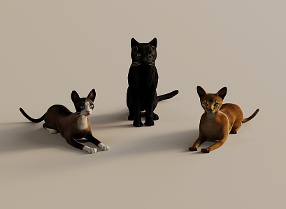 Pet Cat Pet Animal 3d model