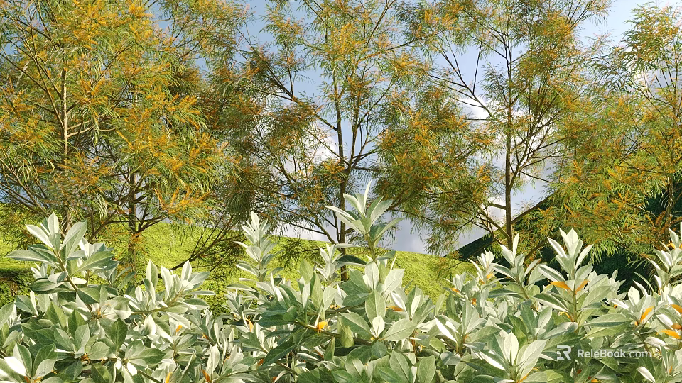 Lush Shrubs With Silver Green Leaves Growing In Garden Under Blue Sky 3d model 