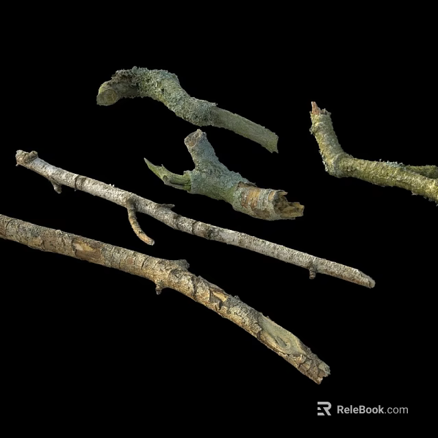 Natural Wood Branches With Bark Texture And Various Shapes For Craft Projects 3d model