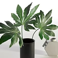 Gray Hexagonal Vase With Handles And Black Cylindrical Vase Holding Green Leafy Plants