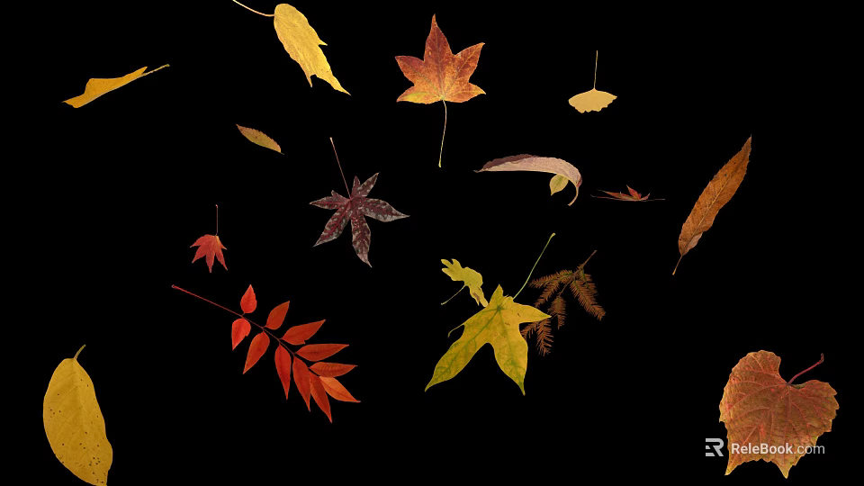 Beautiful Colorful Fall Leaves in Various Shapes Floating on Black Background 3d model 
