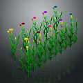 Vibrant Colorful Flowers With Green Stems Blooming On Dark Background Plant