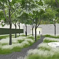 Garden Landscape Design With Trees Canopy And Gravel Ground For People