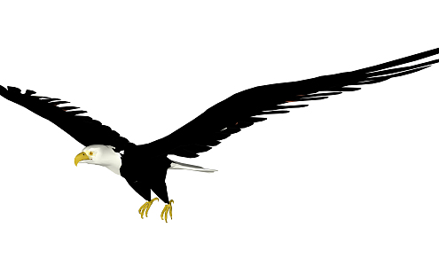 Modern Eagle 3d model