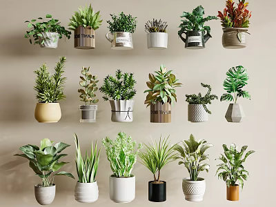 Diverse Bonsai Potted Plants with Stylish Containers for Indoor Home Decor 3d model