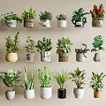 Diverse Bonsai Potted Plants with Stylish Containers for Indoor Home Decor