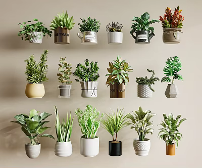 Diverse Bonsai Potted Plants with Stylish Containers for Indoor Home Decor 3d model