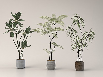 green plant potted plant 3d model