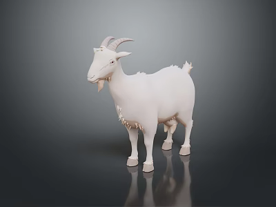 Realistic White Goat 3D Model Standing on Dark Background with Reflection 3d model