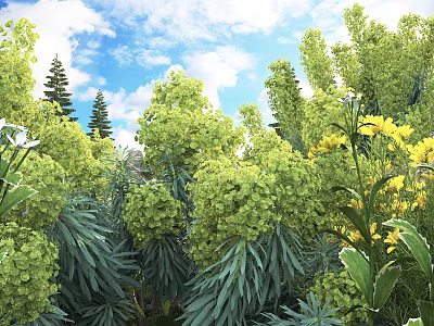 Lush Green Flowers and Plants with Yellow Blooms Pine Trees Blue Sky and White Clouds 3d model