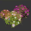 Heart shaped green plant with vibrant colorful flowers purple pink blue yellow and green leaves