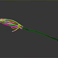Handmade Broom With Brown Bristles Yellow Rope Binding Black Handle And Red Tip