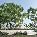 Tall Trees With Lush Green Foliage In Garden Bed With Colorful Flowers And Blue Sky