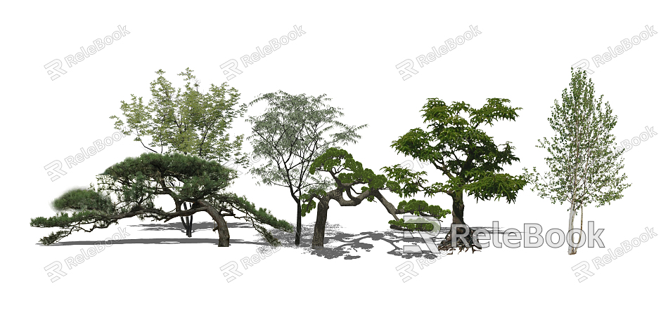 modern tree landscape tree arbor plant model