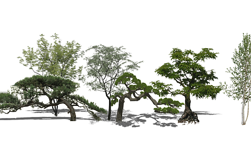 modern tree landscape tree arbor plant 3d model