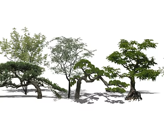modern tree landscape tree arbor plant 3d model
