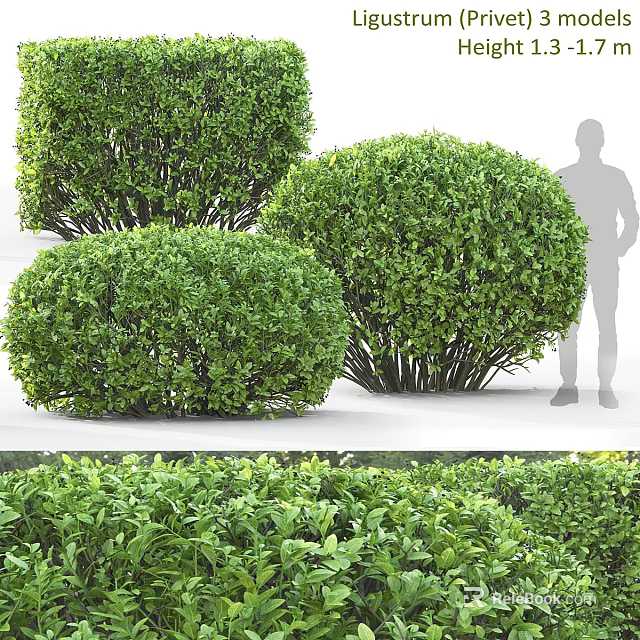 Round Shaped Lush Green Shrubs For Outdoor Garden Landscaping Design 3d model 