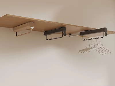 Closet Hanger System With Overhead Wooden Shelf Black Hooks And Metal Hangers 3d model