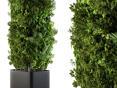 Lush Vertical Potted Greenery With Varied Plants In Black Square Planter 3d model