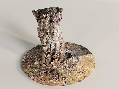 Arbor Tree Trunk With Rough Bark Exposed Roots On Soil And Small Plants 3d model