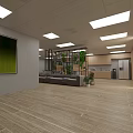 Modern Office Interior With Open Space Sofa Plants Ceiling Lights And Wooden Flooring