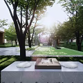 Tranquil Residential Landscape With Lush Trees Green Lawn Stone Pathway And Seating Area