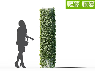 Climbing Vines Covered Column With Green Leaves And Woman Silhouette Touching 3d model